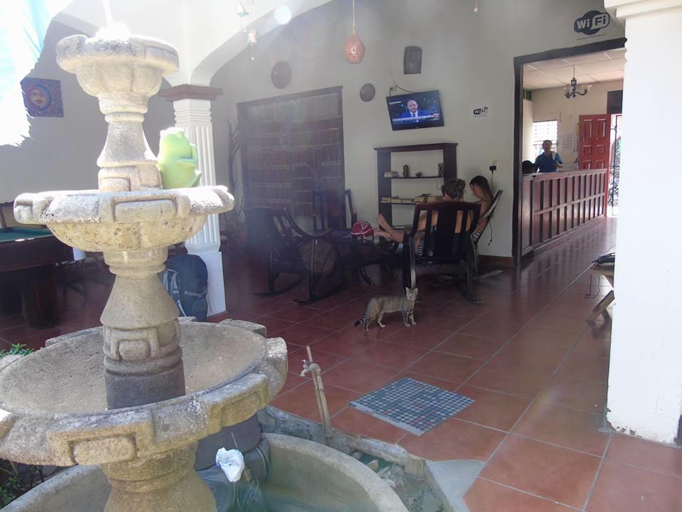 Hostal El Jardin León Exteriér fotografie